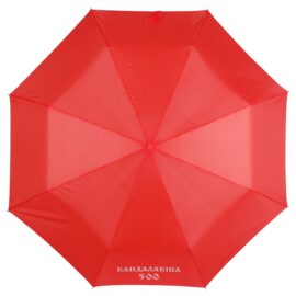 Женский зонт с логотипом