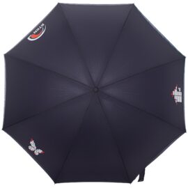 Мужской зонт с логотипом