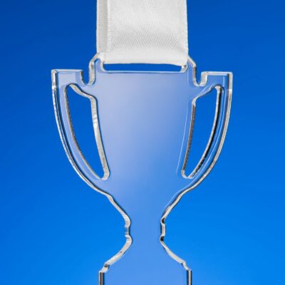 Наградная медаль Cup